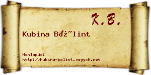Kubina Bálint névjegykártya