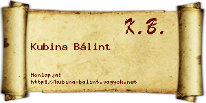 Kubina Bálint névjegykártya