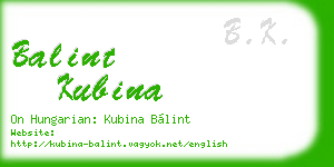 balint kubina business card